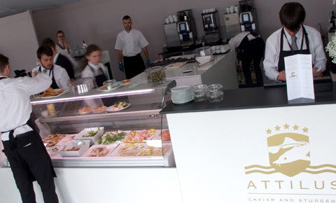 Attilus Caviar at Glorious Goodwood